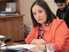 Senadora Carmen Gloria Aravena denuncia que grupos terroristas organizados podrían estar detrás de incendios intencionales