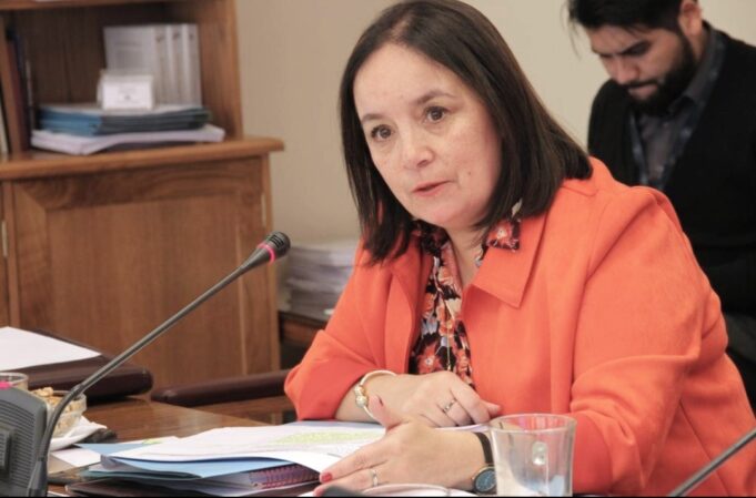 Senadora Carmen Gloria Aravena denuncia que grupos terroristas organizados podrían estar detrás de incendios intencionales