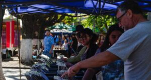 Expo Vinilo de Pitrufquén Acaparó la Atención de Los Amantes de la Música