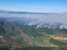 Alcalde de Lumaco acusa lento actuar de Conaf ante las emergencias por incendios forestales