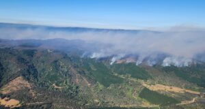 Alcalde de Lumaco acusa lento actuar de Conaf ante las emergencias por incendios forestales