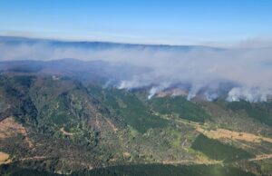 Alcalde de Lumaco acusa lento actuar de Conaf ante las emergencias por incendios forestales
