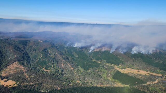 Alcalde de Lumaco acusa lento actuar de Conaf ante las emergencias por incendios forestales
