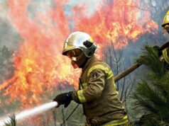 “Cuando broten sedientas las llamas y la alarma desnude su voz” … Bomberos de la Araucanía luchando sin descanso y con mucho corazón