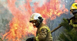 “Cuando broten sedientas las llamas y la alarma desnude su voz” … Bomberos de la Araucanía luchando sin descanso y con mucho corazón