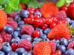 Gorbea Invita a Disfrutar de la IV Versión de la Fiesta del Berrie de «El Liuco»