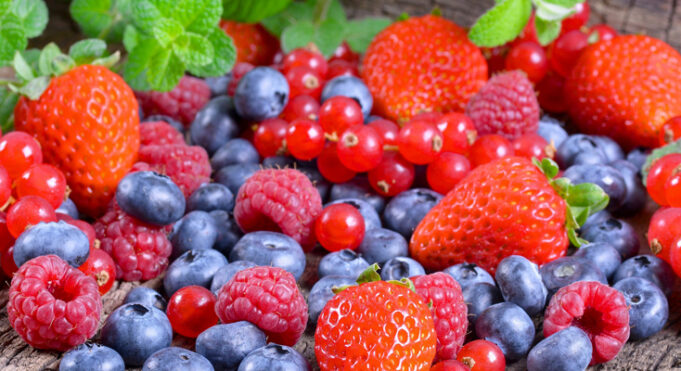 Gorbea Invita a Disfrutar de la IV Versión de la Fiesta del Berrie de «El Liuco»