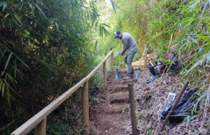 Gorbea: Realizan Mejoramientos en el Parque Ecológico La Aguada de Quitratúe