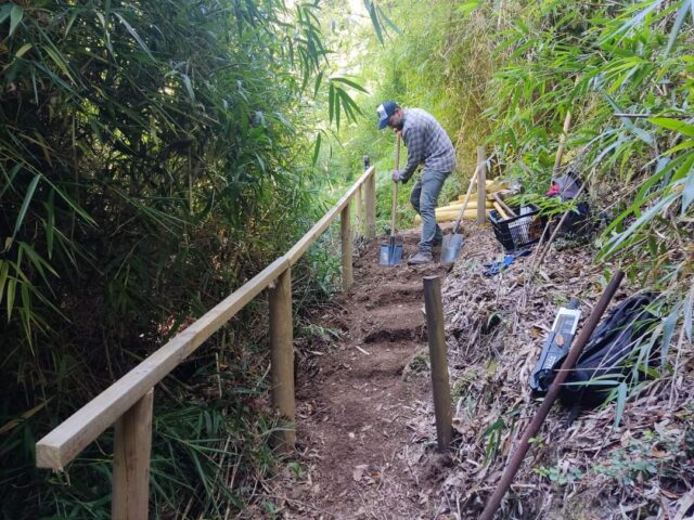 Gorbea: Realizan Mejoramientos en el Parque Ecológico La Aguada de Quitratúe