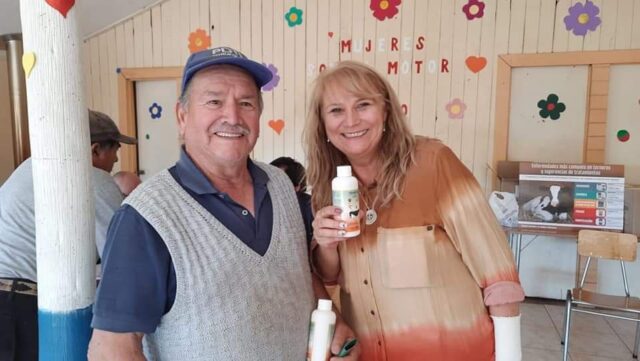 Pitrufquén: Entregan Antiparasitario Contra La Mosca del Cuerno en Los Galpones