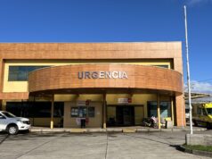 Con Diez Puntos Terminó Una Menor Luego de ser Mordida por un Perro en Pitrufquén