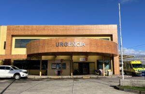 Con Diez Puntos Terminó Una Menor Luego de ser Mordida por un Perro en Pitrufquén