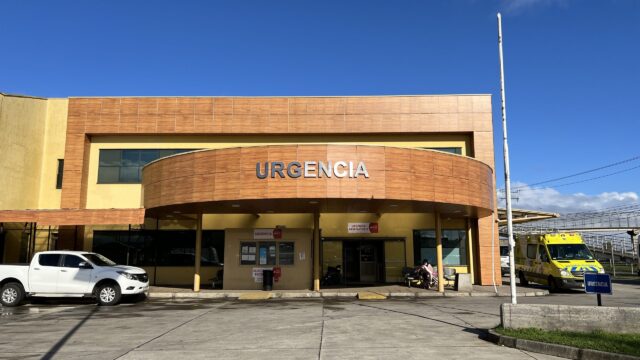 Con Diez Puntos Terminó Una Menor Luego de ser Mordida por un Perro en Pitrufquén