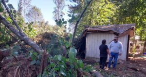 Árbol Cae Sobre una Vivienda en Freire