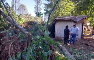 Árbol Cae Sobre una Vivienda en Freire