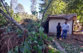 Árbol Cae Sobre una Vivienda en Freire