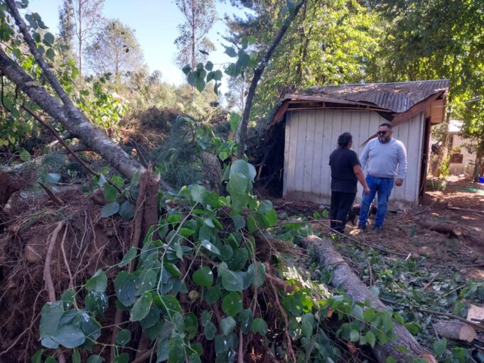Árbol Cae Sobre una Vivienda en Freire