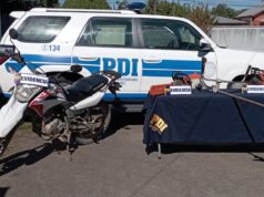 PDI Recupera Especies Sustraídas en Toltén