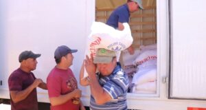 Familias de Freire y Lumaco Afectadas por Incendios Reciben Harina, Mercadería y Apoyo Veterinario