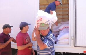 Familias de Freire y Lumaco Afectadas por Incendios Reciben Harina, Mercadería y Apoyo Veterinario