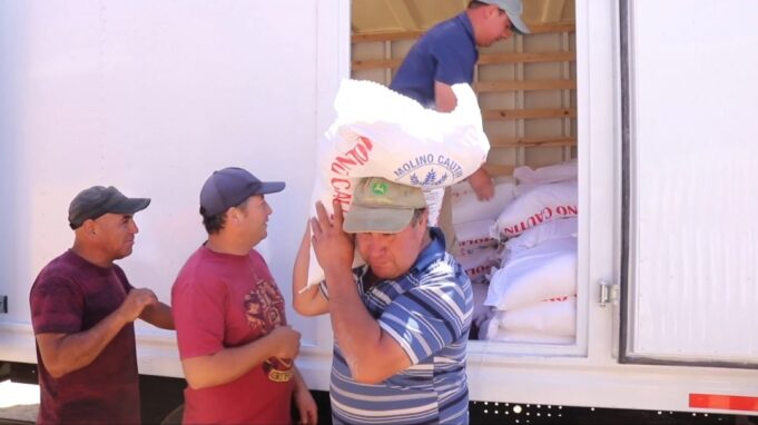 Familias de Freire y Lumaco Afectadas por Incendios Reciben Harina, Mercadería y Apoyo Veterinario