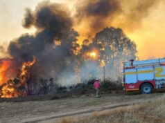 Segunda Compañía de Bomberos de Freire Busca Nuevos Voluntarios
