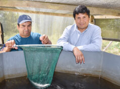 CONADI Destinará Más de $300 Millones Para Proyectos de Emprendimiento Indígena en La Araucanía