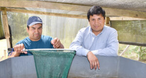 CONADI Destinará Más de $300 Millones Para Proyectos de Emprendimiento Indígena en La Araucanía