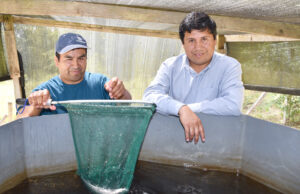 CONADI Destinará Más de $300 Millones Para Proyectos de Emprendimiento Indígena en La Araucanía