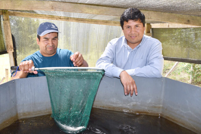 CONADI Destinará Más de $300 Millones Para Proyectos de Emprendimiento Indígena en La Araucanía