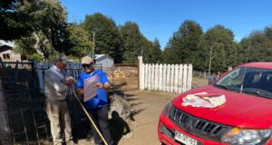 Inició Catastro en Sectores de Villarrica con Peligro de Erupción