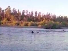 Funcionaria de Seguridad Publica de Pitrufquén se Lanzó al Rio Toltén Para Rescatar a Mujer