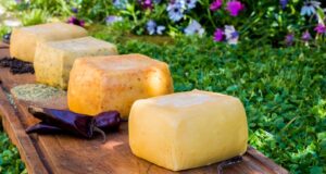 Panorama en Pitrufquén: Expo Quesos En Faja Maisan Promete Variada Gastronomía