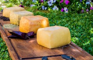 Panorama en Pitrufquén: Expo Quesos En Faja Maisan Promete Variada Gastronomía