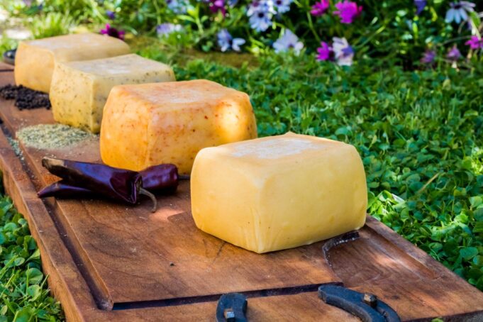 Panorama en Pitrufquén: Expo Quesos En Faja Maisan Promete Variada Gastronomía