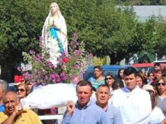 Domingo 12 de Marzo: Fiesta de la Virgen de Lourdes en Ercilla