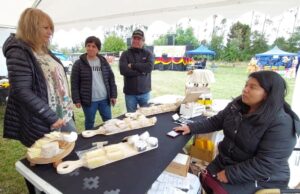 Pitrufquén: 1era Expo Quesos de Faja Maisan Exhibió Centenaria Tradición Quesera