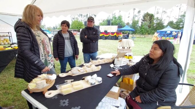 Pitrufquén: 1era Expo Quesos de Faja Maisan Exhibió Centenaria Tradición Quesera