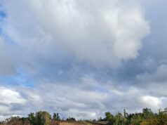 Más de 1000 familias molestas y preocupadas, por paralización de la pavimentación de su camino, por parte del MOP Araucanía