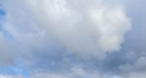 Más de 1000 familias molestas y preocupadas, por paralización de la pavimentación de su camino, por parte del MOP Araucanía