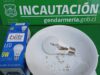 El Segundo Caso de la Semana: Intentan Ingresar Drogas en Ampolleta a la Cárcel de Pitrufquén