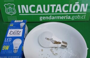 El Segundo Caso de la Semana: Intentan Ingresar Drogas en Ampolleta a la Cárcel de Pitrufquén