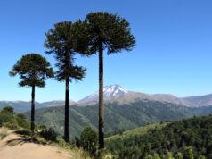 Se Abrió Concurso Para Financiar Iniciativas de Turismo Mapuche en La Araucanía