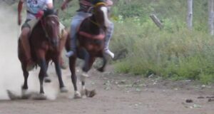 Carrera a la Chilena en Angol Terminó con una Persona Fallecida