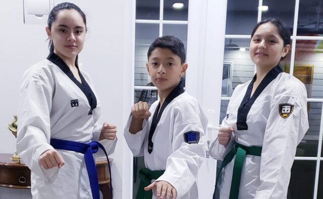 Hermanos Bono de Pitrufquén: Pasión Por El Taekwondo