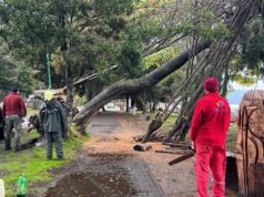 Más de 50 llamadas por Emergencias se Registraron en Villarrica por Temporal