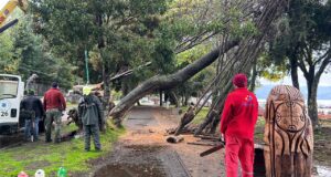 Más de 50 llamadas por Emergencias se Registraron en Villarrica por Temporal