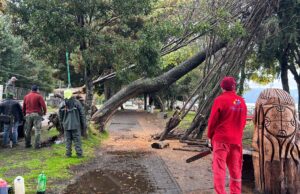 Más de 50 llamadas por Emergencias se Registraron en Villarrica por Temporal