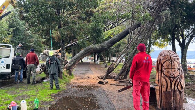 Más de 50 llamadas por Emergencias se Registraron en Villarrica por Temporal