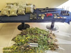 Incautan Armas, Municiones y Marihuana en Allanamiento en Victoria